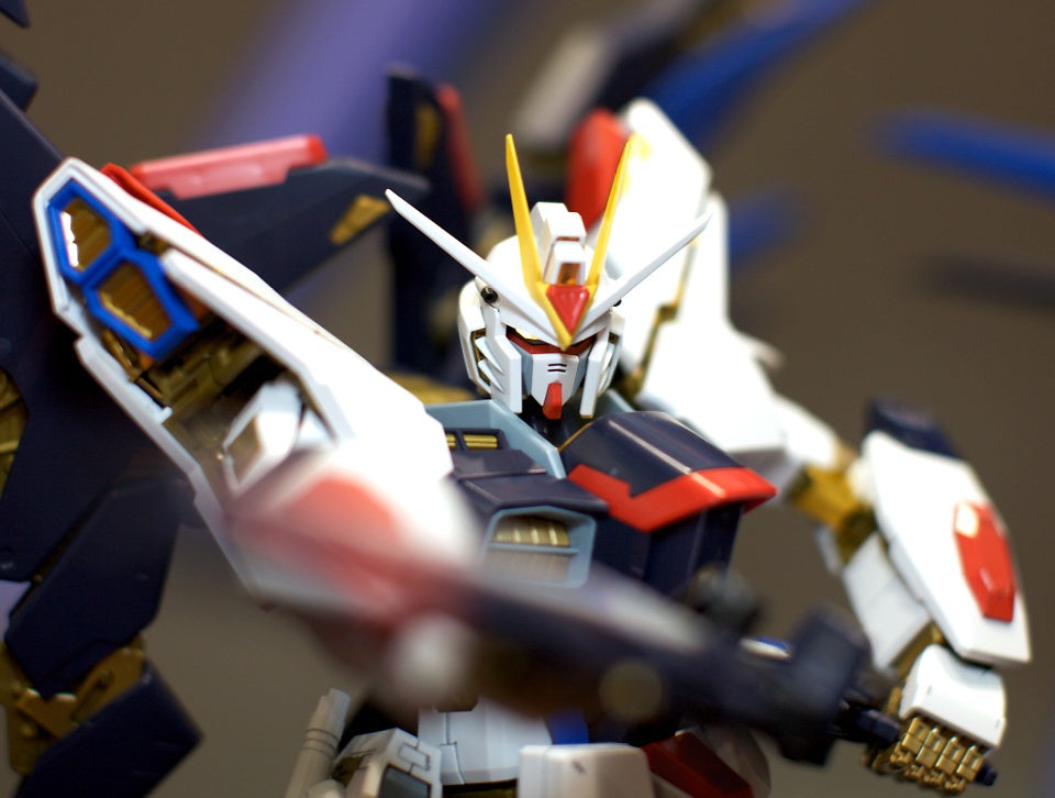 BANDAI Hobby PG Strike Freedom Gundam