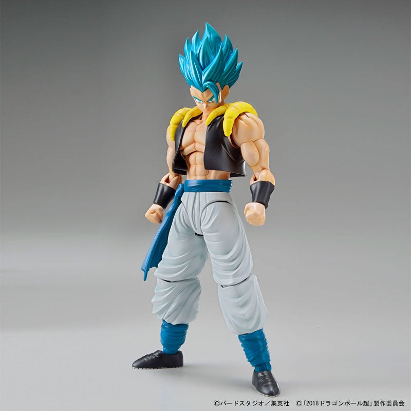 BANDAI Hobby Figure-rise Standard SUPER SAIYAN GOD SUPER SAIYAN GOGETA