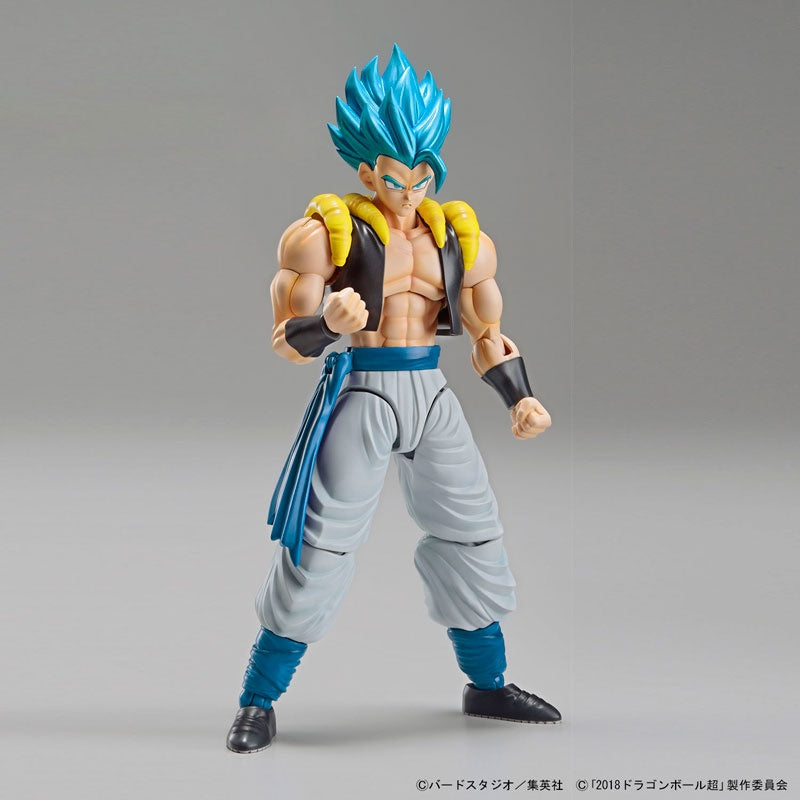 BANDAI Hobby Figure-rise Standard SUPER SAIYAN GOD SUPER SAIYAN GOGETA