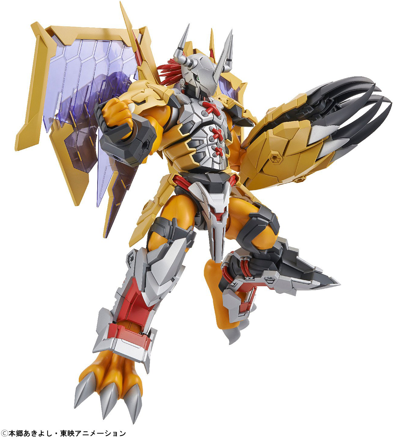 BANDAI Hobby Figure-rise Standard WARGREYMON (AMPLIFIED)