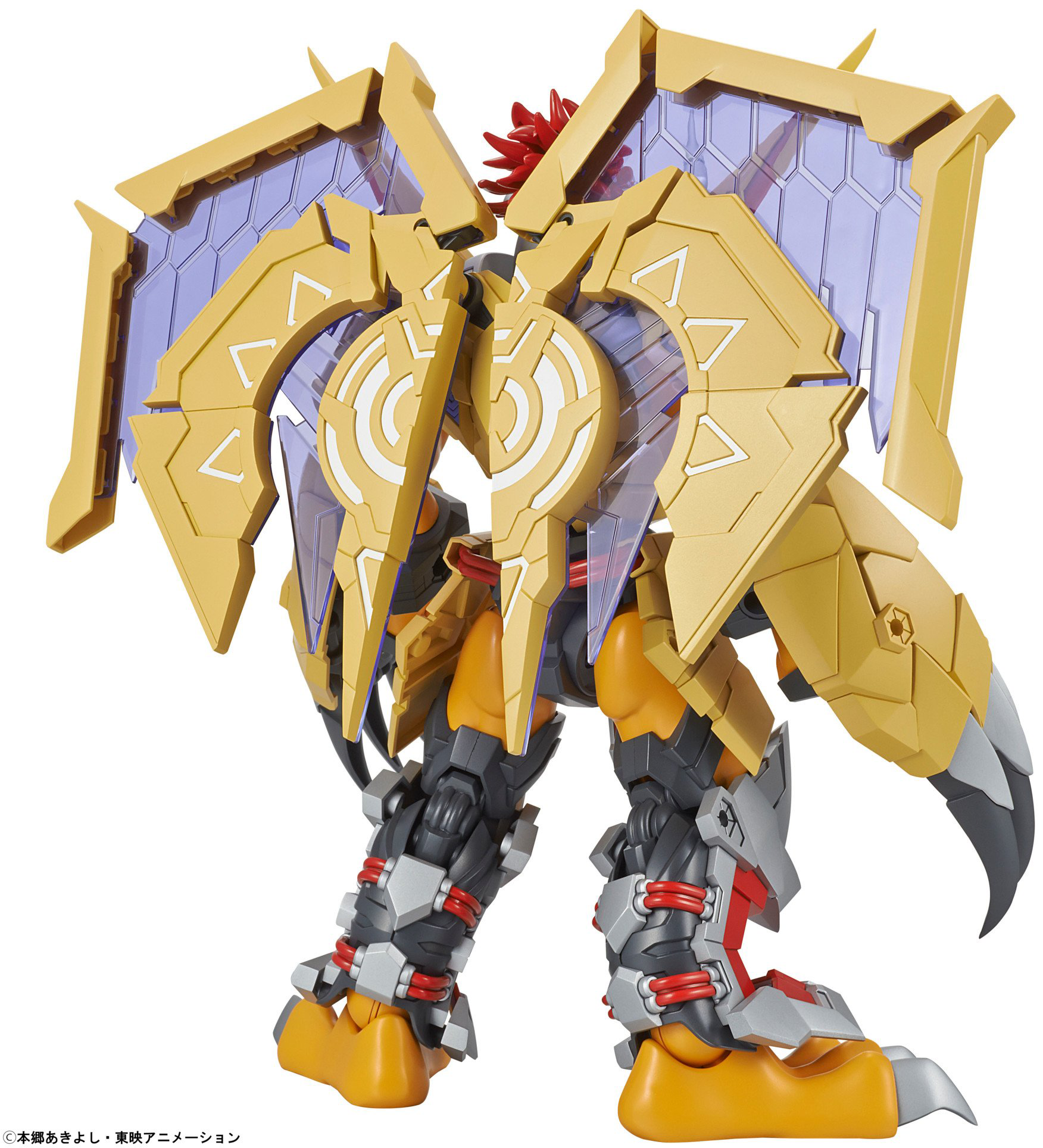 BANDAI Hobby Figure-rise Standard WARGREYMON (AMPLIFIED)