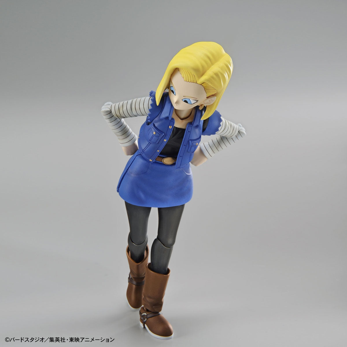 BANDAI Hobby Figure-rise Standard ANDROID No. 18 (Renewal Version)