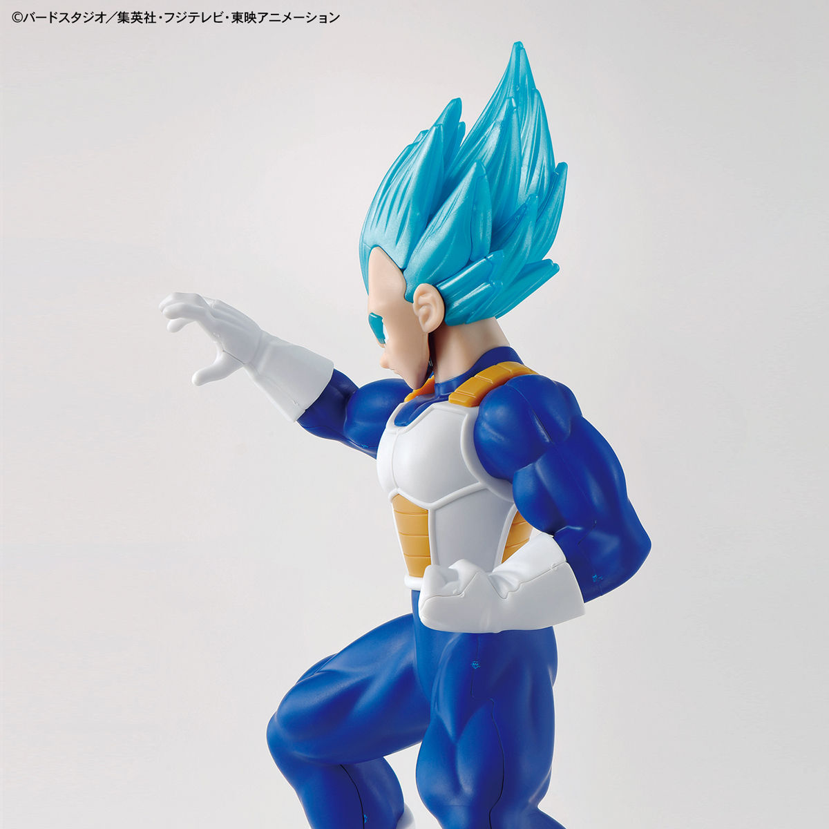 BANDAI Hobby ENTRY GRADE SUPER SAIYAN GOD SUPER SAIYAN VEGETA