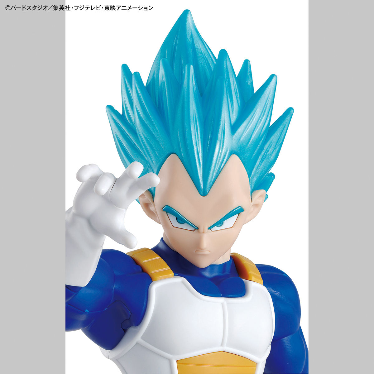 BANDAI Hobby ENTRY GRADE SUPER SAIYAN GOD SUPER SAIYAN VEGETA