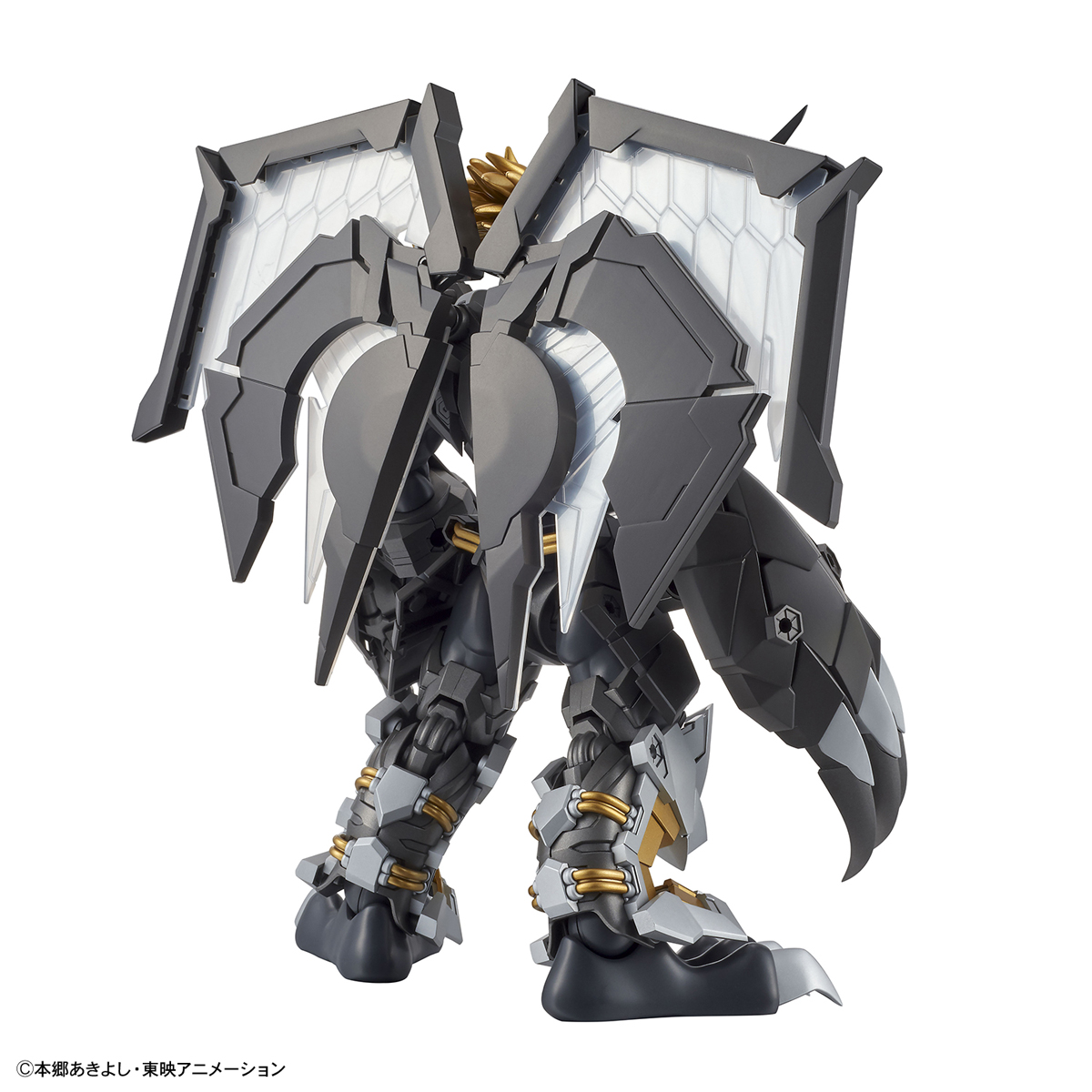 BANDAI Hobby Figure-rise Standard Amplified BLACKWARGREYMON