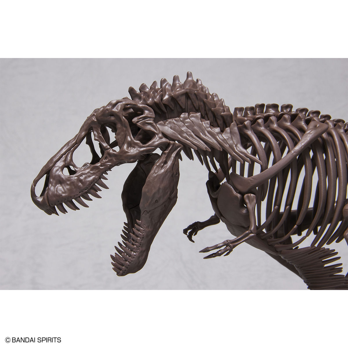 BANDAI HOBBY 1/32 Imaginary Skeleton Tyrannosaurus(4573102618009)