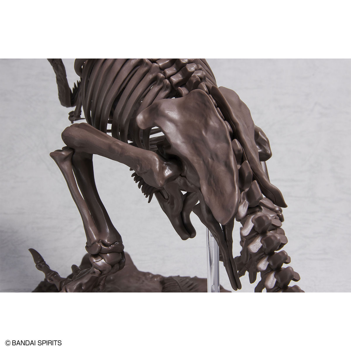 BANDAI Hobby 1/32 Imaginary Skeleton Tyrannosaurus