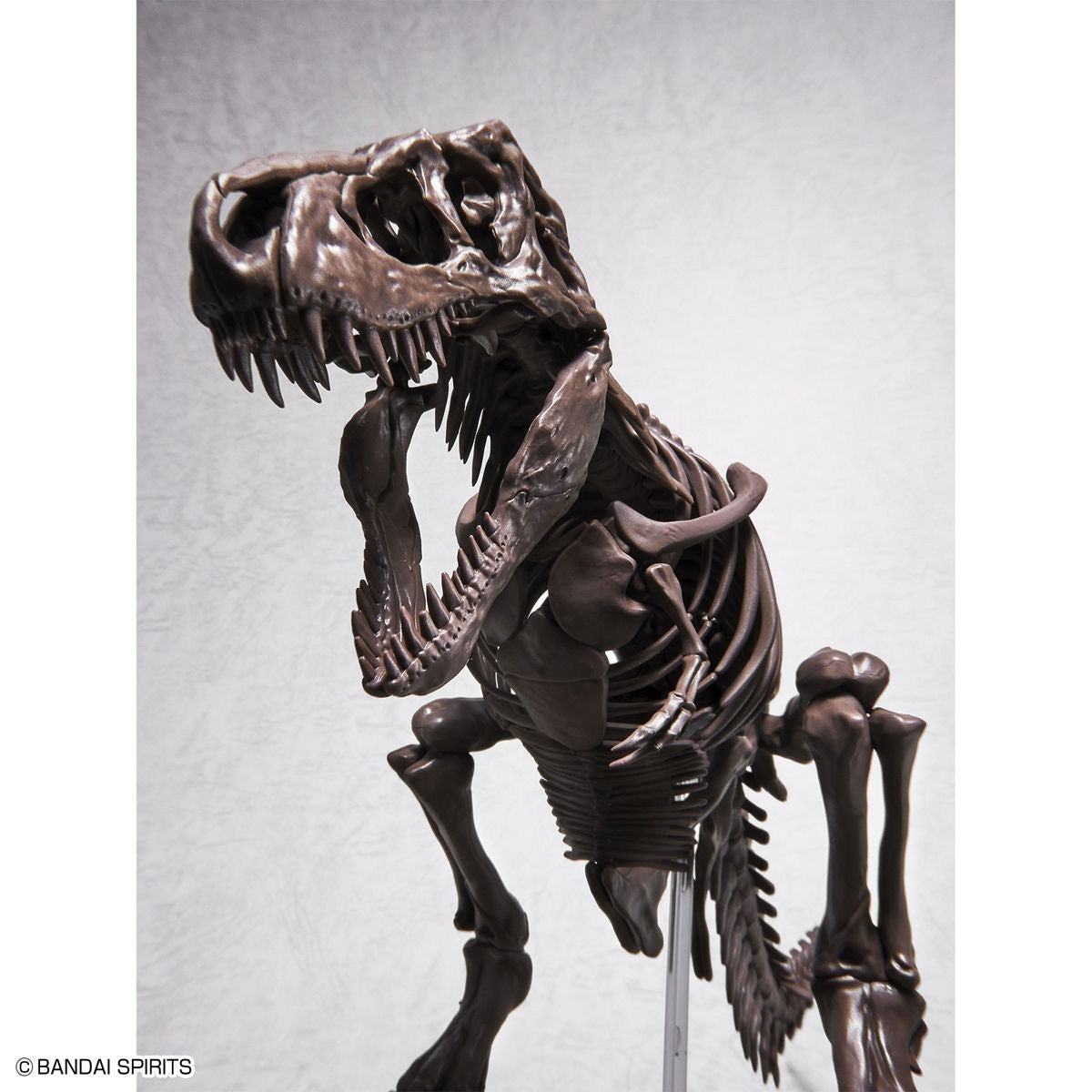 BANDAI HOBBY 1/32 Imaginary Skeleton Tyrannosaurus(4573102618009)