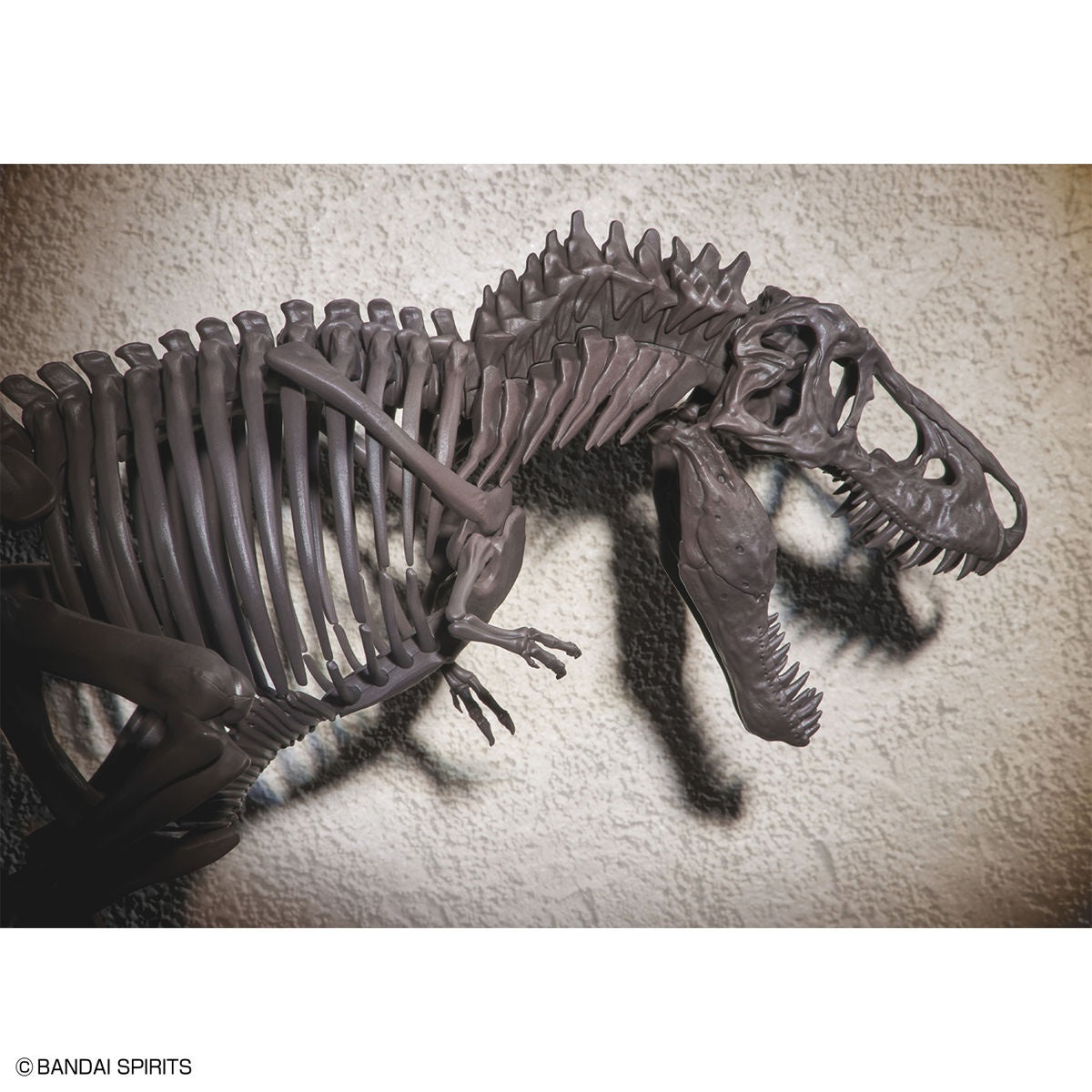 BANDAI Hobby 1/32 Imaginary Skeleton Tyrannosaurus