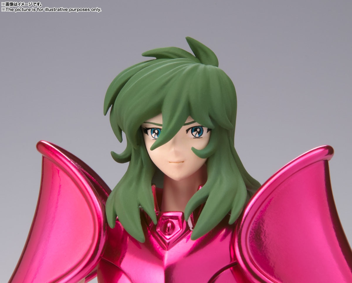 Les Chevaliers du Zodiaque - I Cavalieri dello Zodiaco - Knights of the Zodiac - Los Caballeros Del Zodiaco - Andromeda Shun - Myth Cloth EX - Revival Edition(Bandai Spirits)