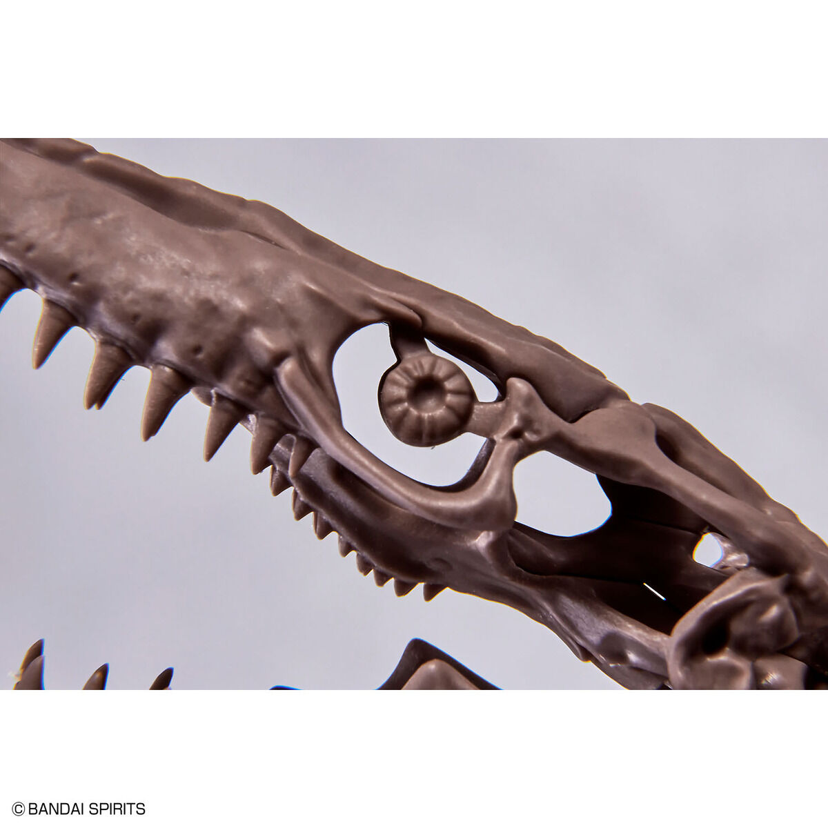 BANDAI Hobby 1/32 Imaginary Skeleton Mosasaurus