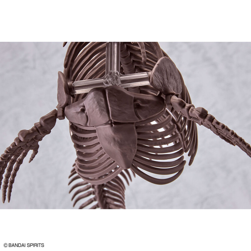 BANDAI Hobby 1/32 Imaginary Skeleton Mosasaurus