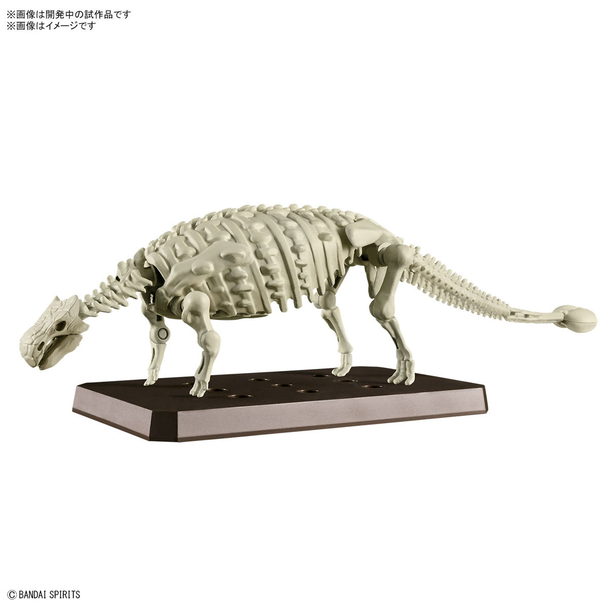 BANDAI Hobby PLANNOSAURUS Ankylosaurus