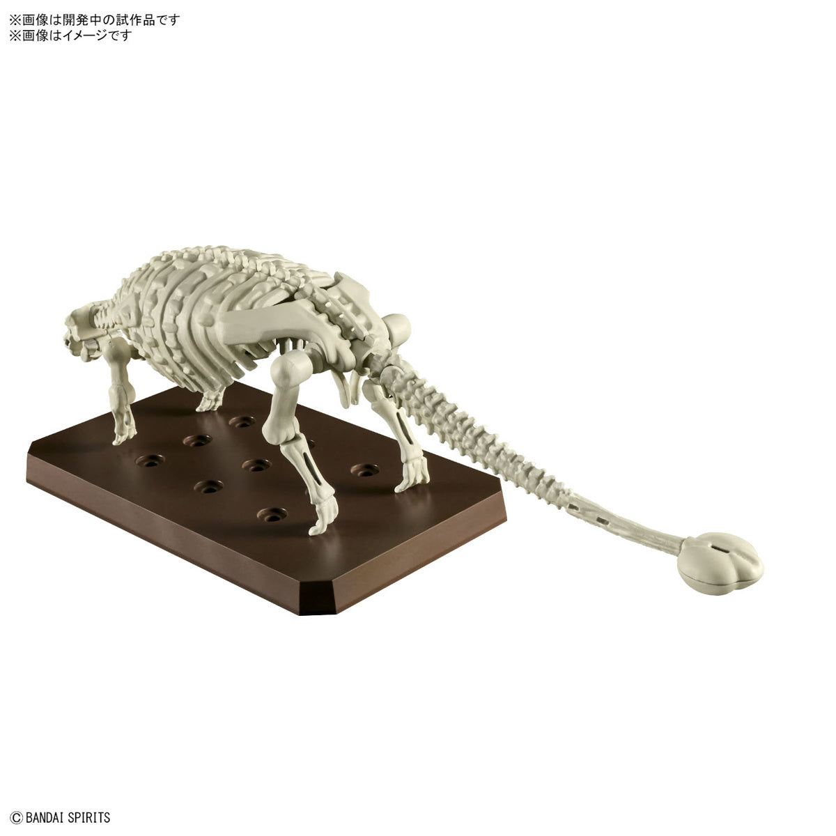 BANDAI Hobby PLANNOSAURUS Ankylosaurus