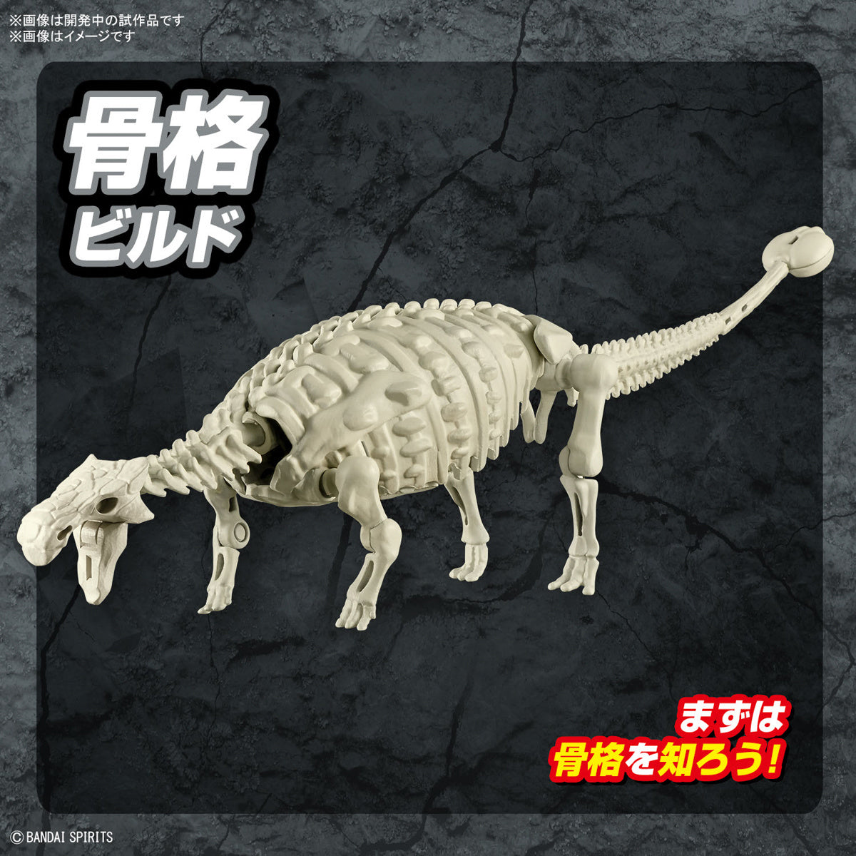 BANDAI Hobby PLANNOSAURUS Ankylosaurus