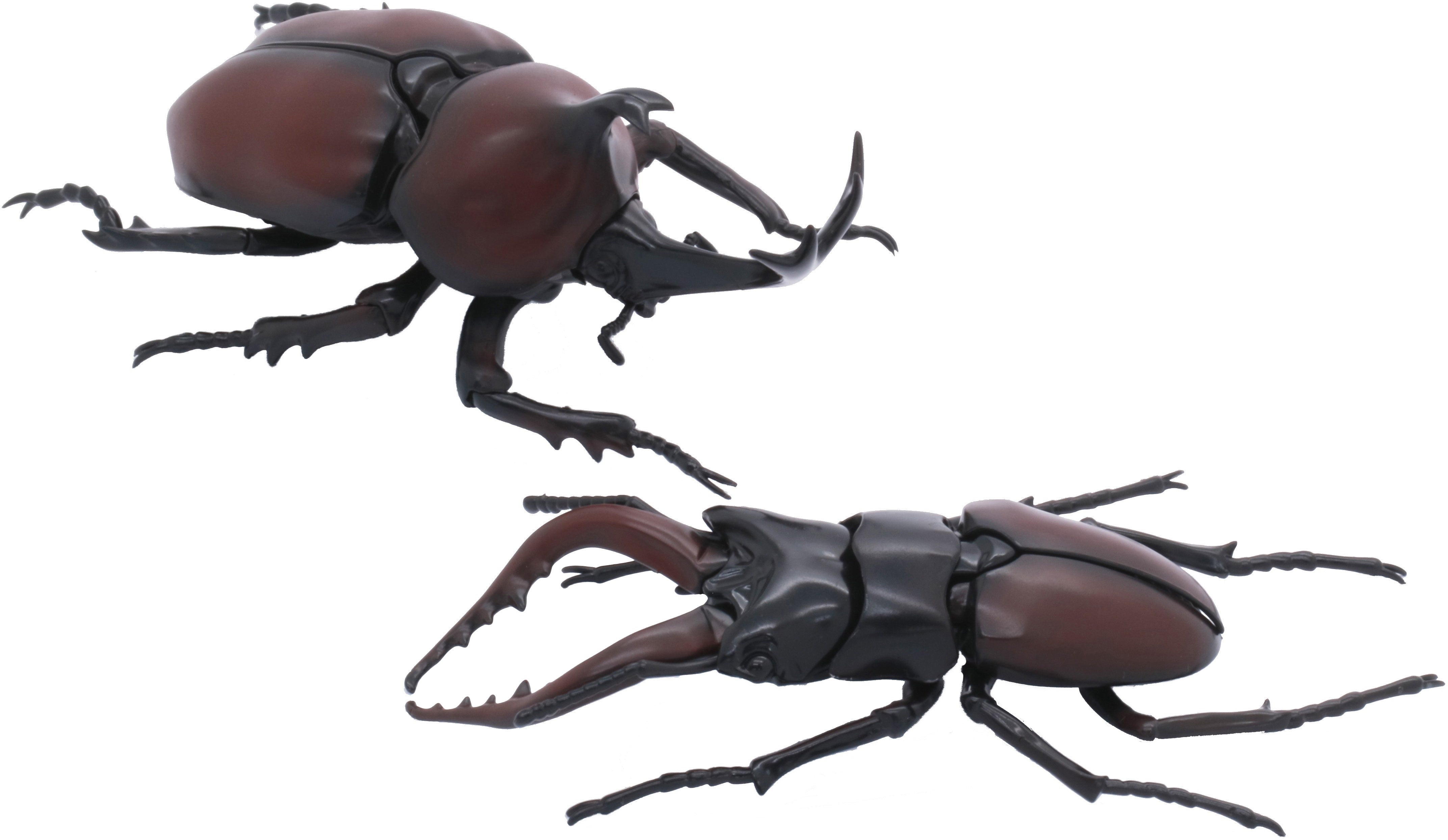 Fujimi Biology Edition Beetle vs Stag Beetle Showdown Set