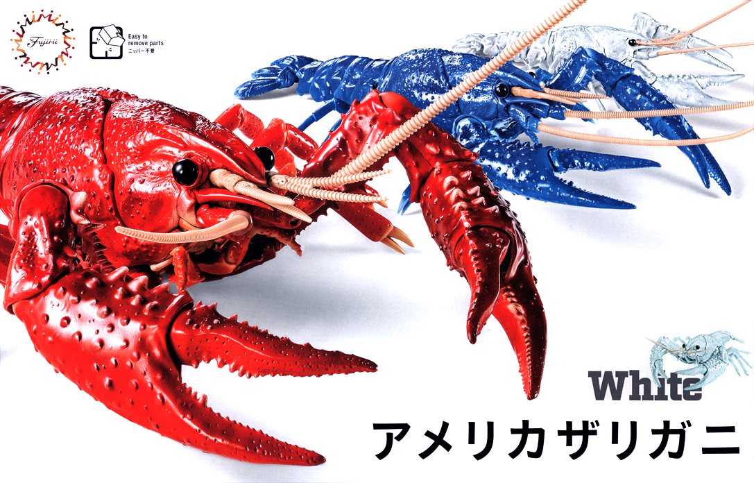 Fujimi Biology Research 24EX-2 Procambarus Clarkii / Louisiana Crawfish (White) Biology Edition