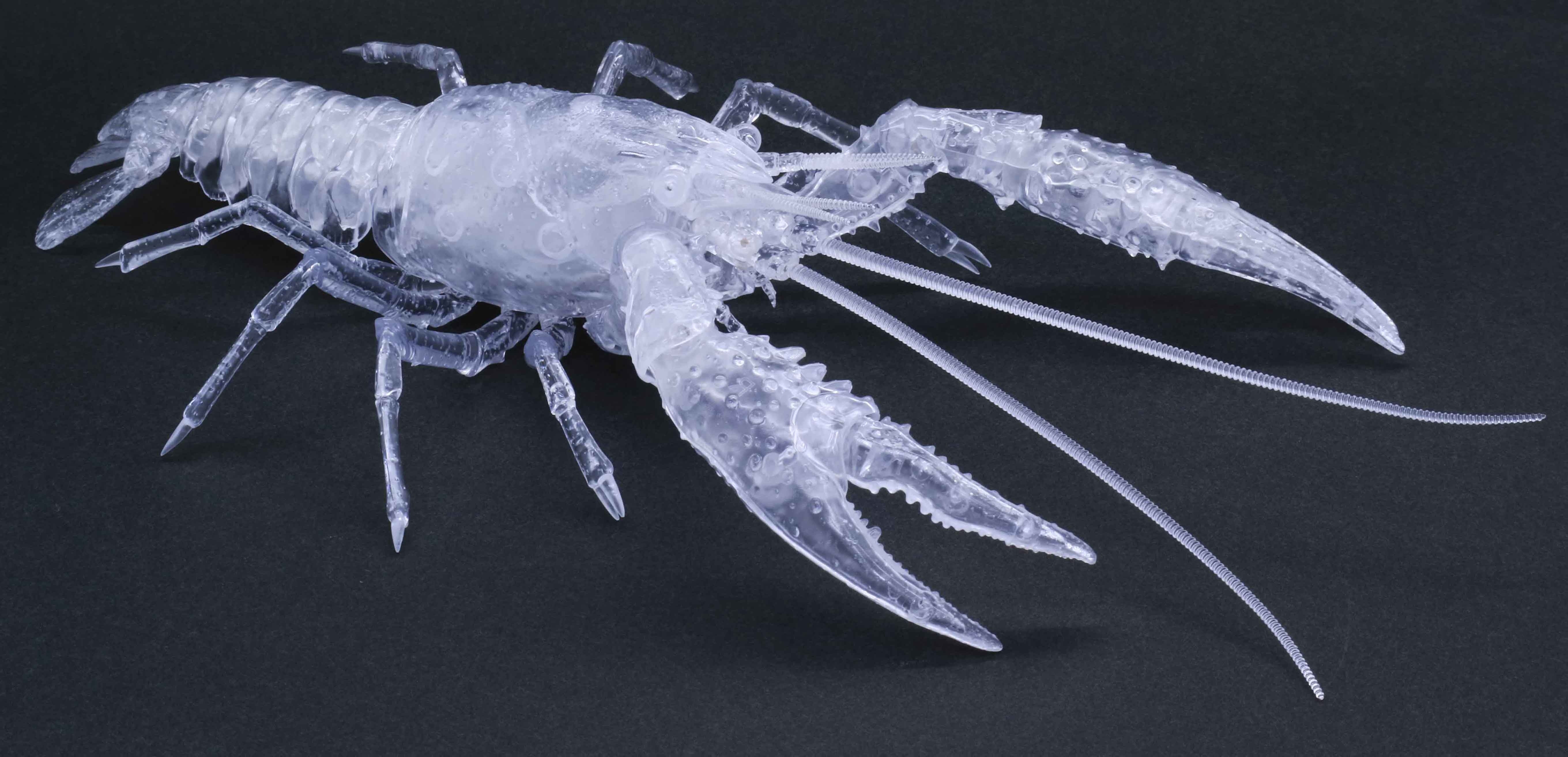 Fujimi Biology Edition Crayfish (Clear)