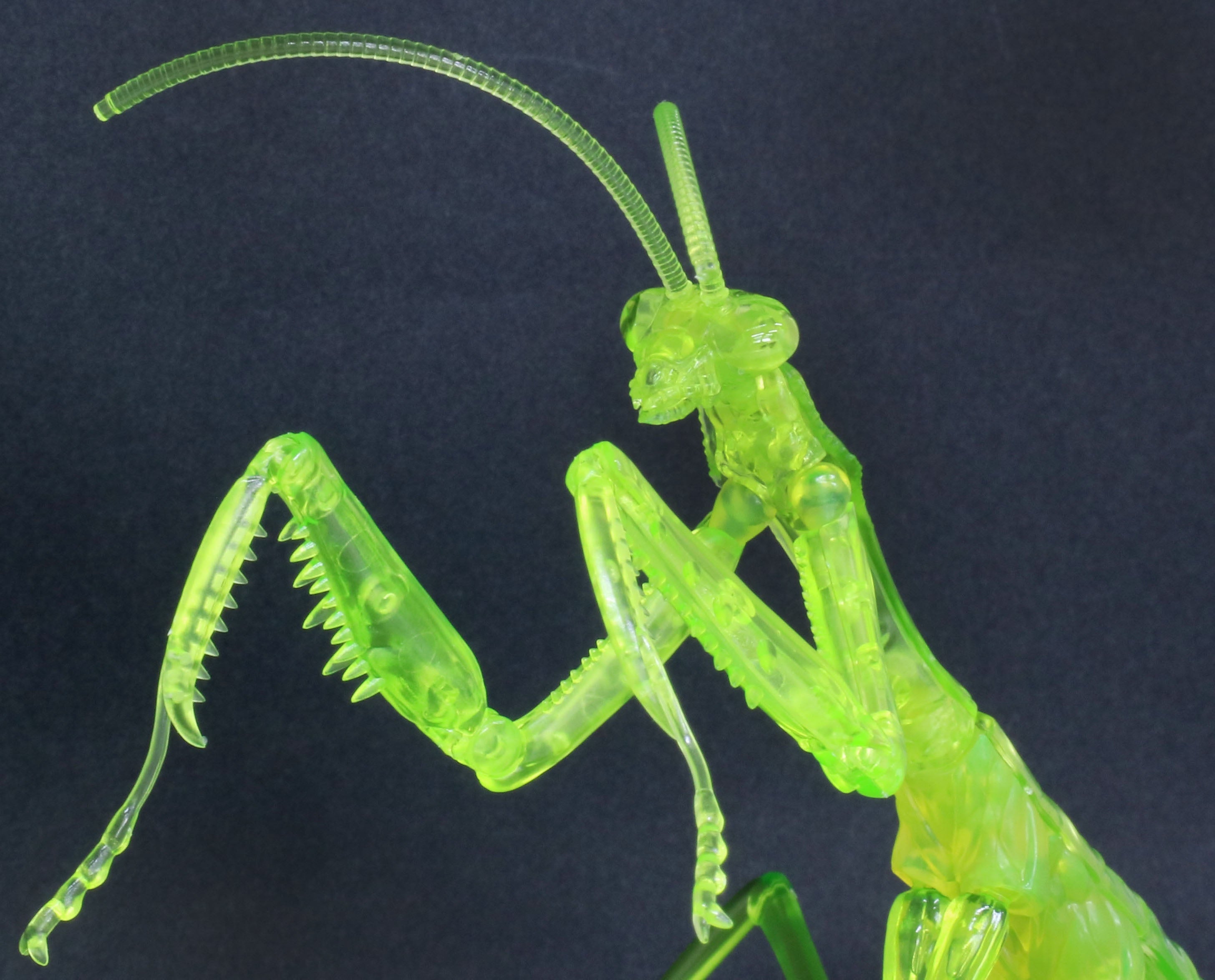 Fujimi Non Scale Biology Edition Big Mantis (Clear Green)