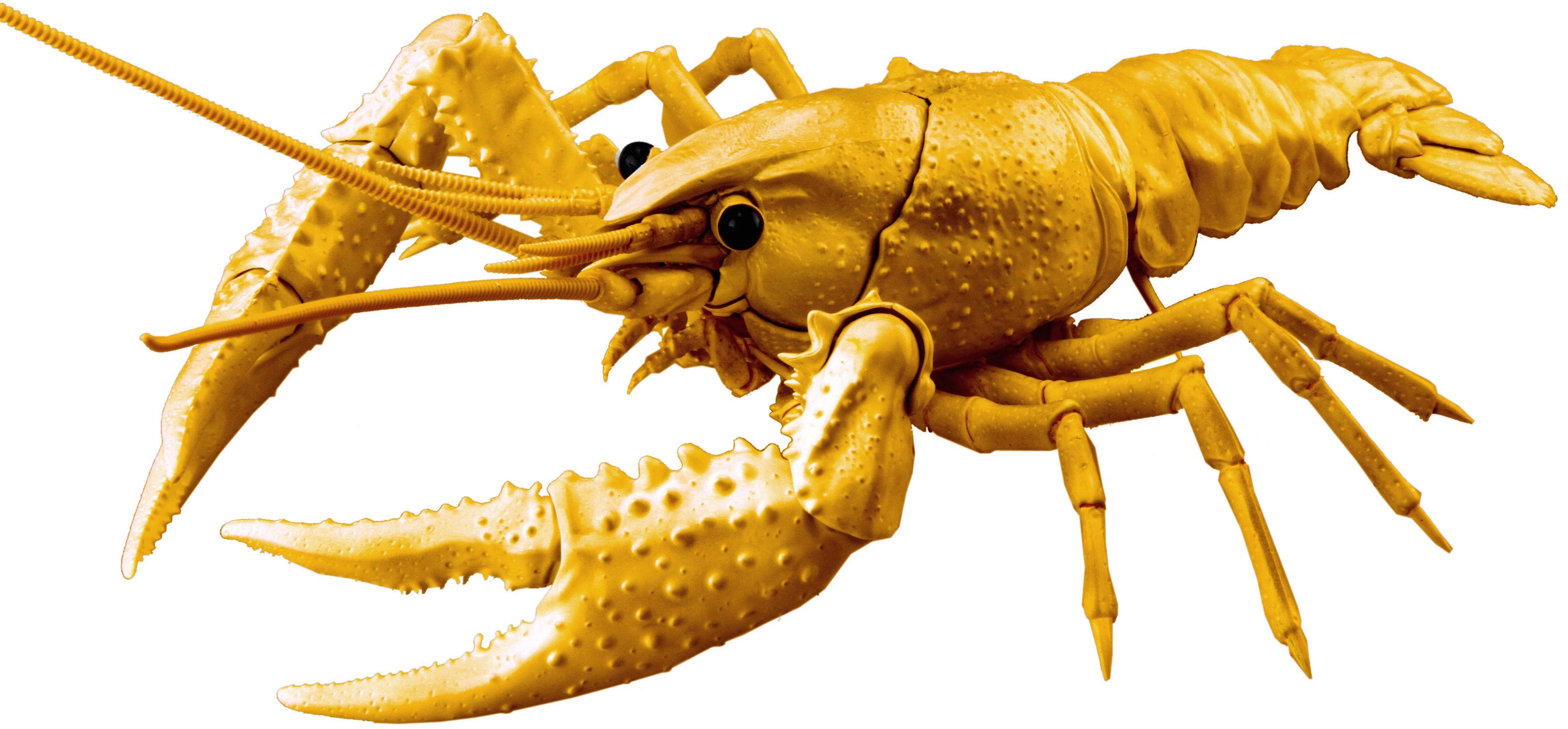 Fujimi Biology Edition Crayfish (Gold)