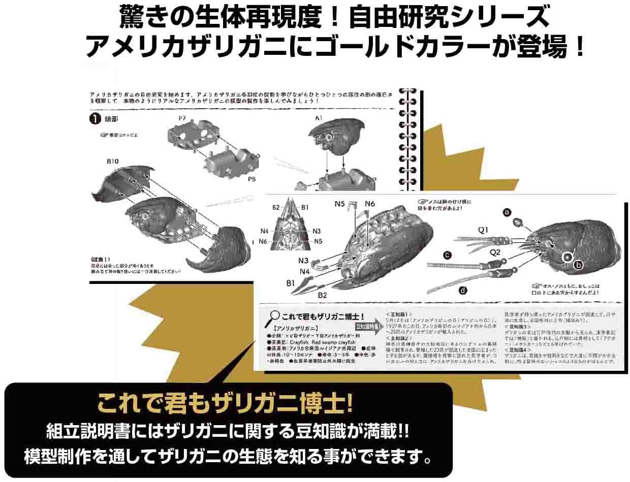 Fujimi Biology Edition Crayfish (Gold)