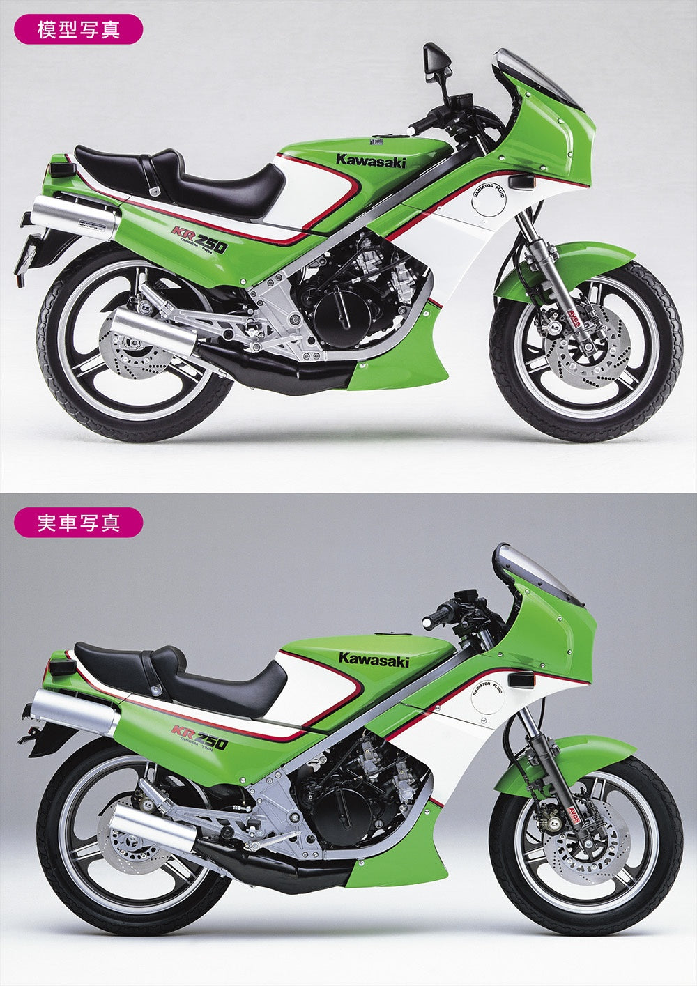 Hasegawa [BK12] 1:12 Kawasaki KR250 (KR250A)