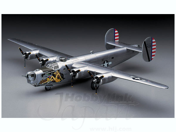 Hasegawa 1/72 B-24J Liberator E29