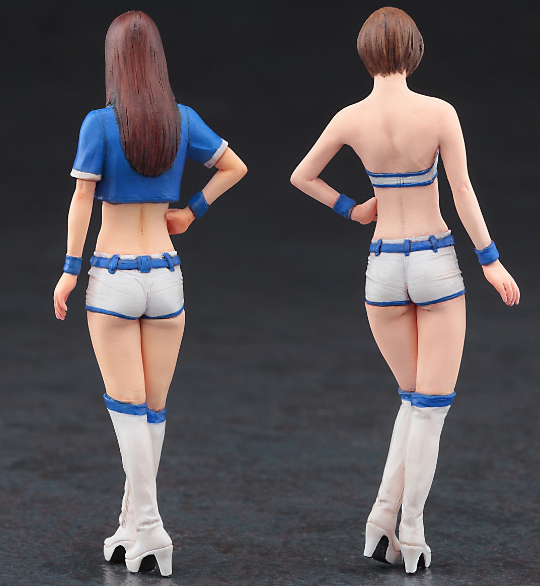 Hasegawa 1/24 Companion Girls Figure (FC05)