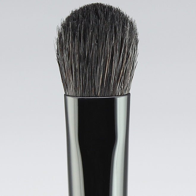 Hasegawa Gradation Brush (L) (KF101)