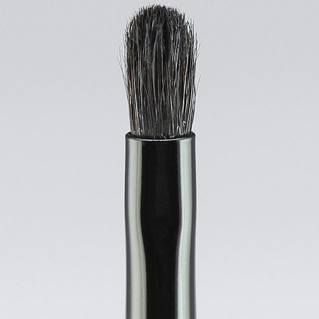 Hasegawa Gradation Brush (M) (KF102)