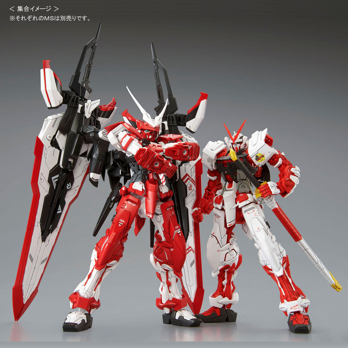 Bandai Gundam Astray Turn Red 'Gundam SEED VS Astray', Bandai MG 1/100