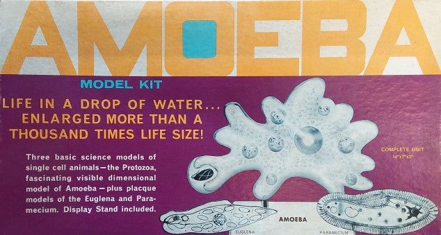 Atlantis Amoeba Single Cell Model Kit STEM