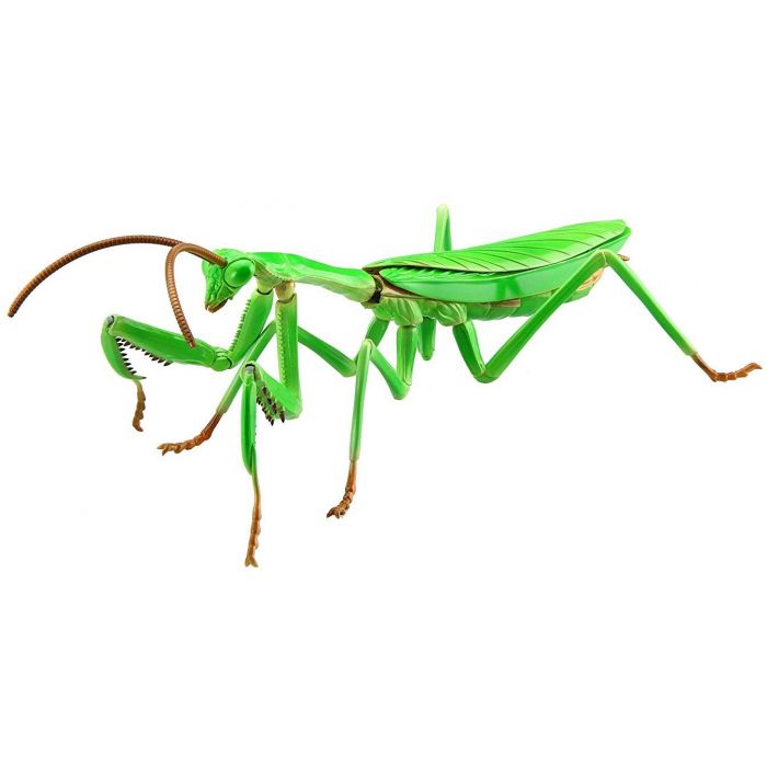 Fujimi Biology Edition Big Mantis