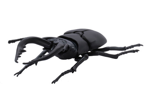 Fujimi Biology Edition Stag Beetle