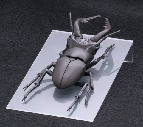 Fujimi Biology Edition Stag Beetle