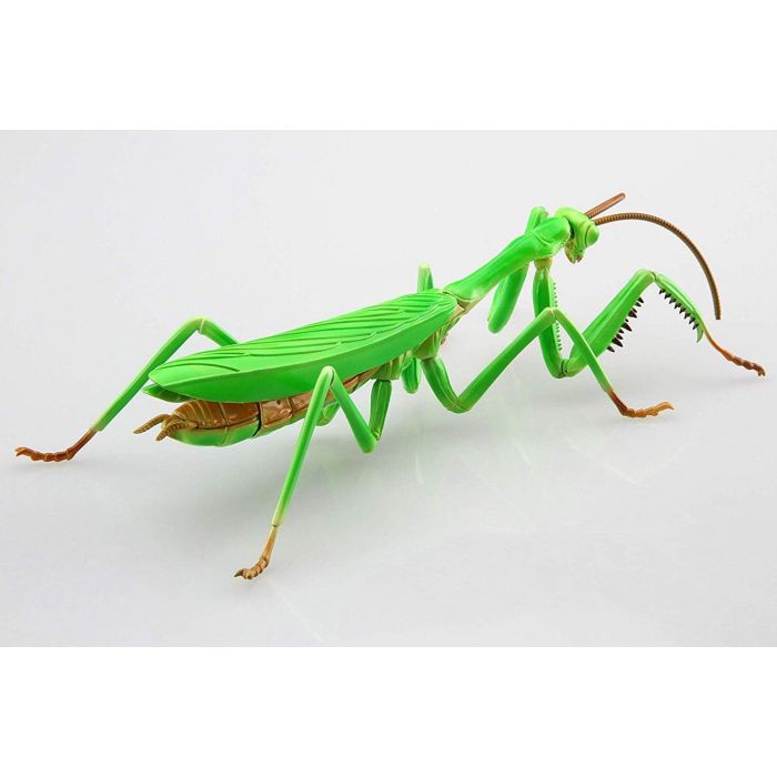 Fujimi Biology Edition Big Mantis