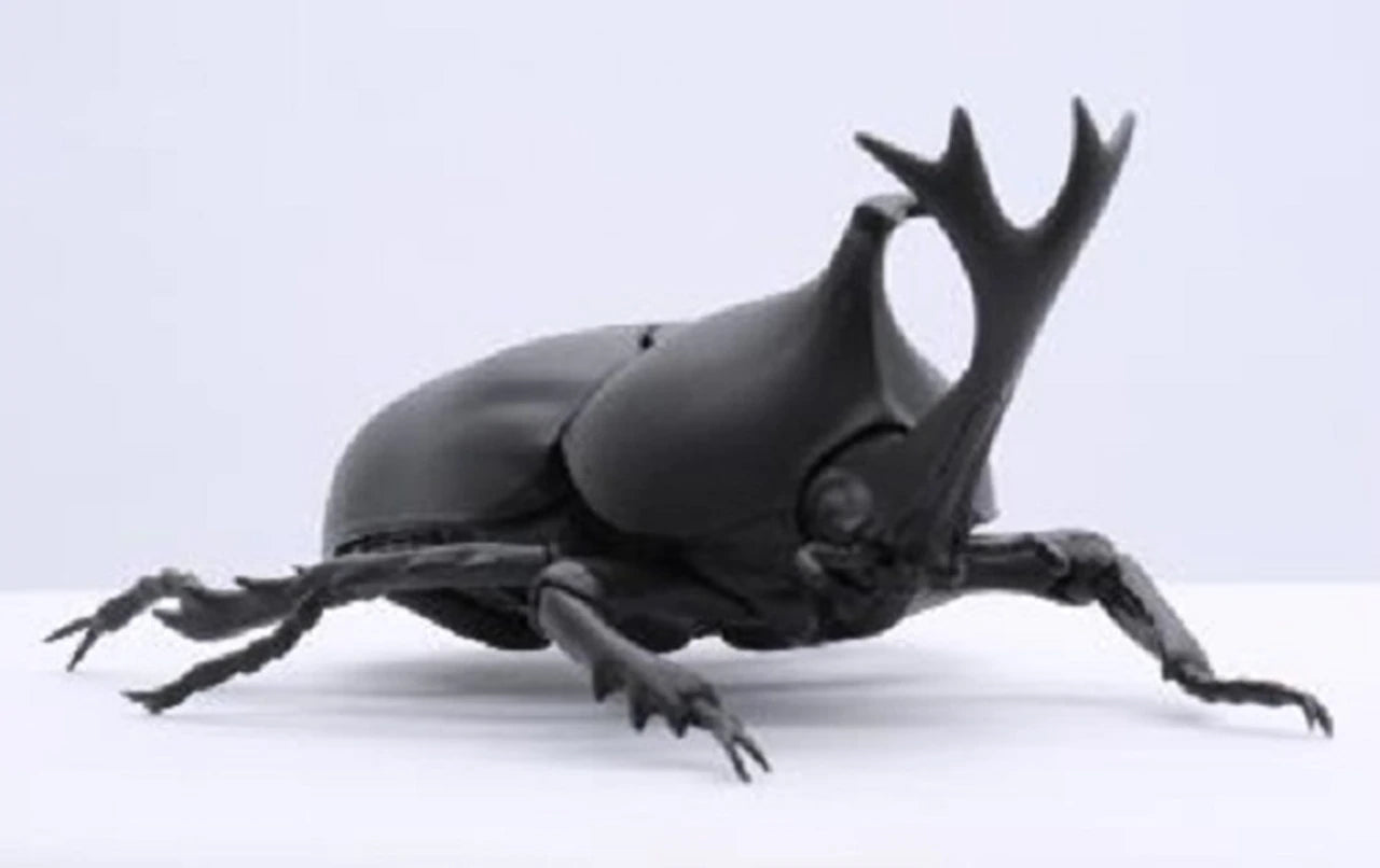 Fujimi Living Thing Series Japanese Rhinoceros Beetle Biology Edition Pre-painted kit