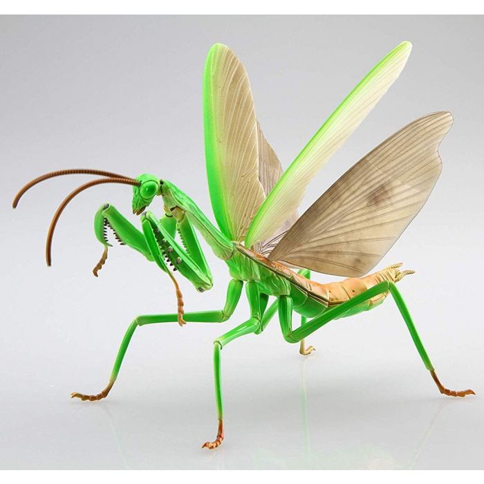 Fujimi Biology Edition Big Mantis