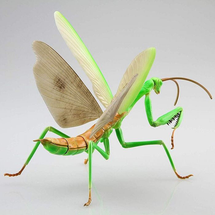 Fujimi Biology Edition Big Mantis