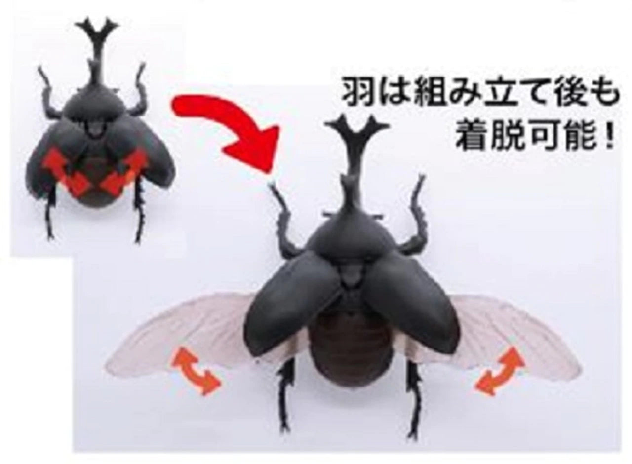 Fujimi Living Thing Series Japanese Rhinoceros Beetle Biology Edition Pre-painted kit